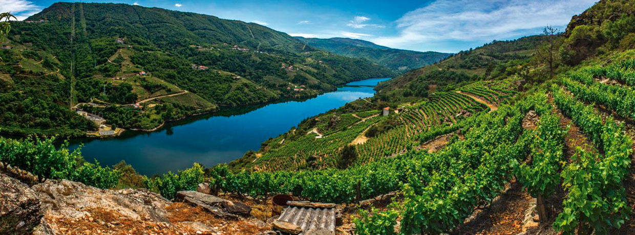 D.O. Ribeira Sacra